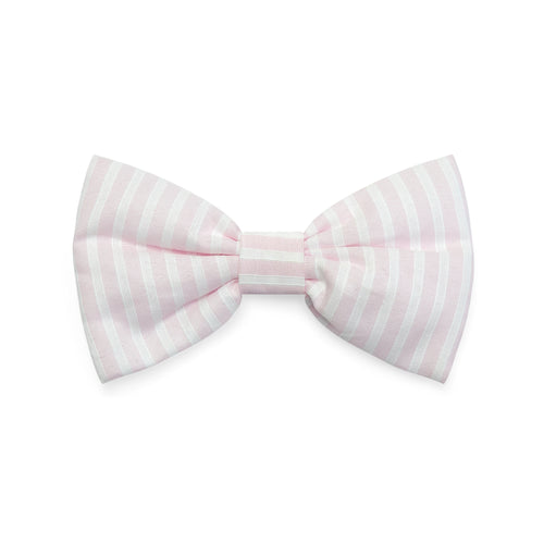 S251907 Claire Adee Bow