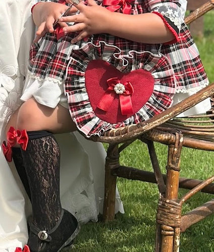 IN25-01 Heart BAG